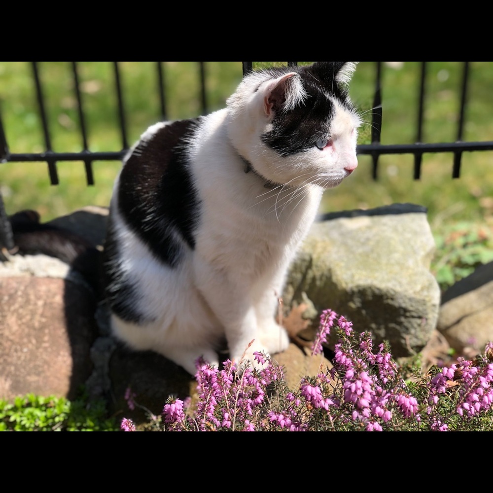 Meet your Posher, Denise